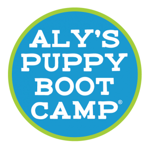 Trained Dogs & Puppies for Sale - Buy Therapy and Emotional Assistance Dogs - Alys Puppy Bootcamp
