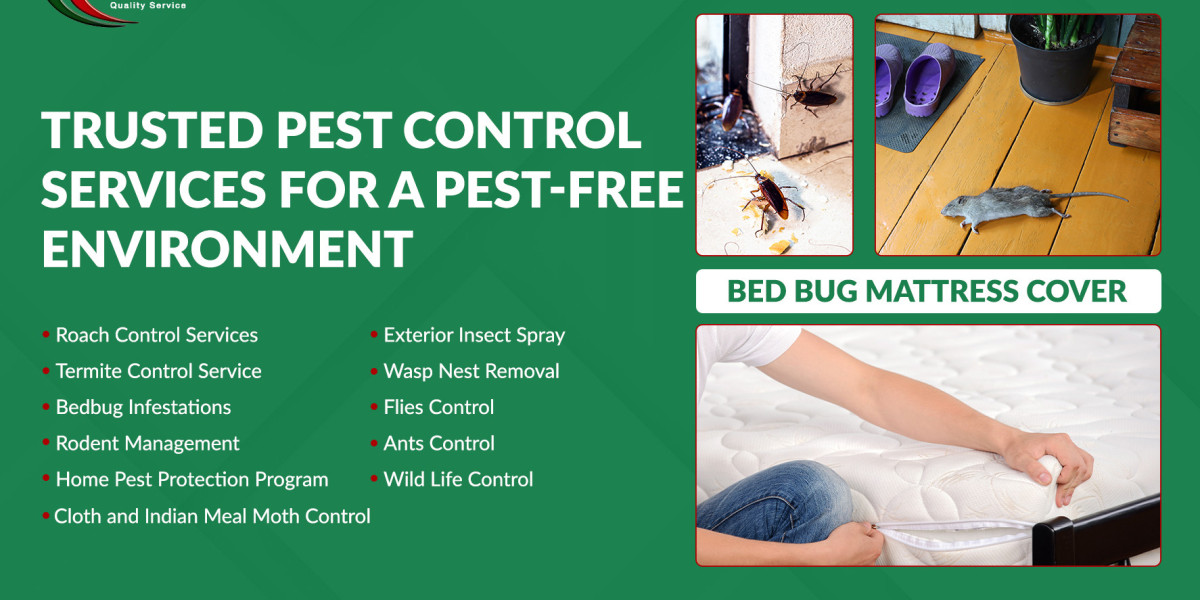 Termite Treatment Brampton: Protect Your Property from Silent Destroyers