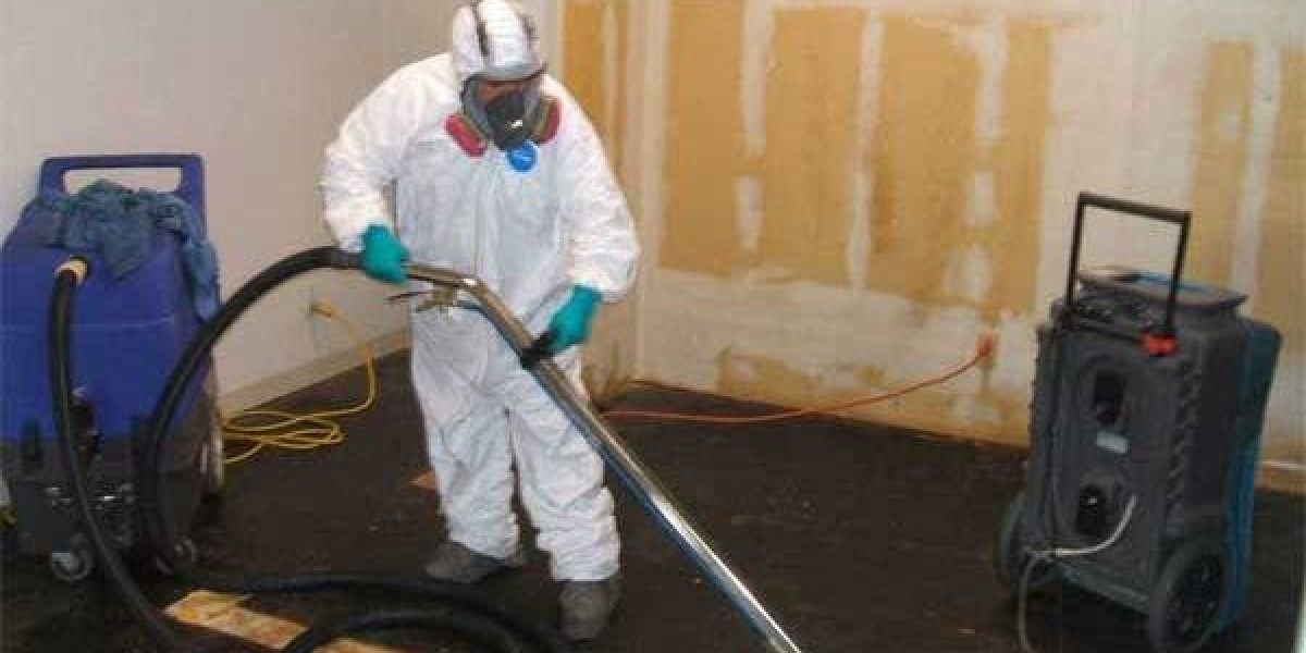 Comprehensive Mold Remediation – Ensure a Healthier Home Environment