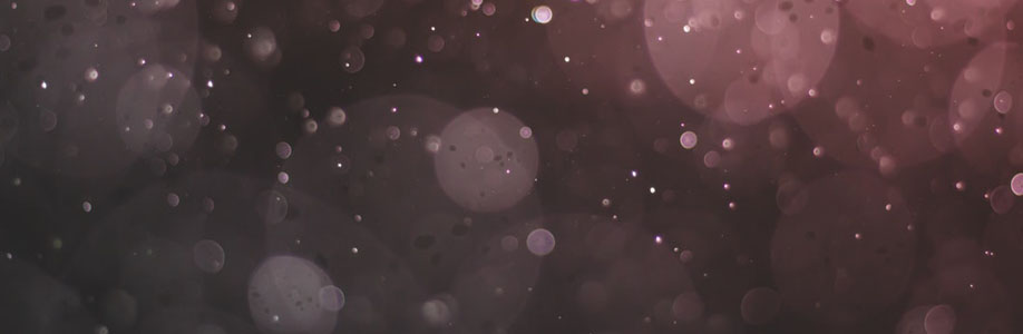 Asspizza Clothing Cover Image